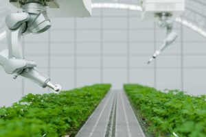 organic farm in house with working robot, 3d illustration rendering